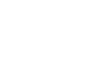 0 top capibara typo white