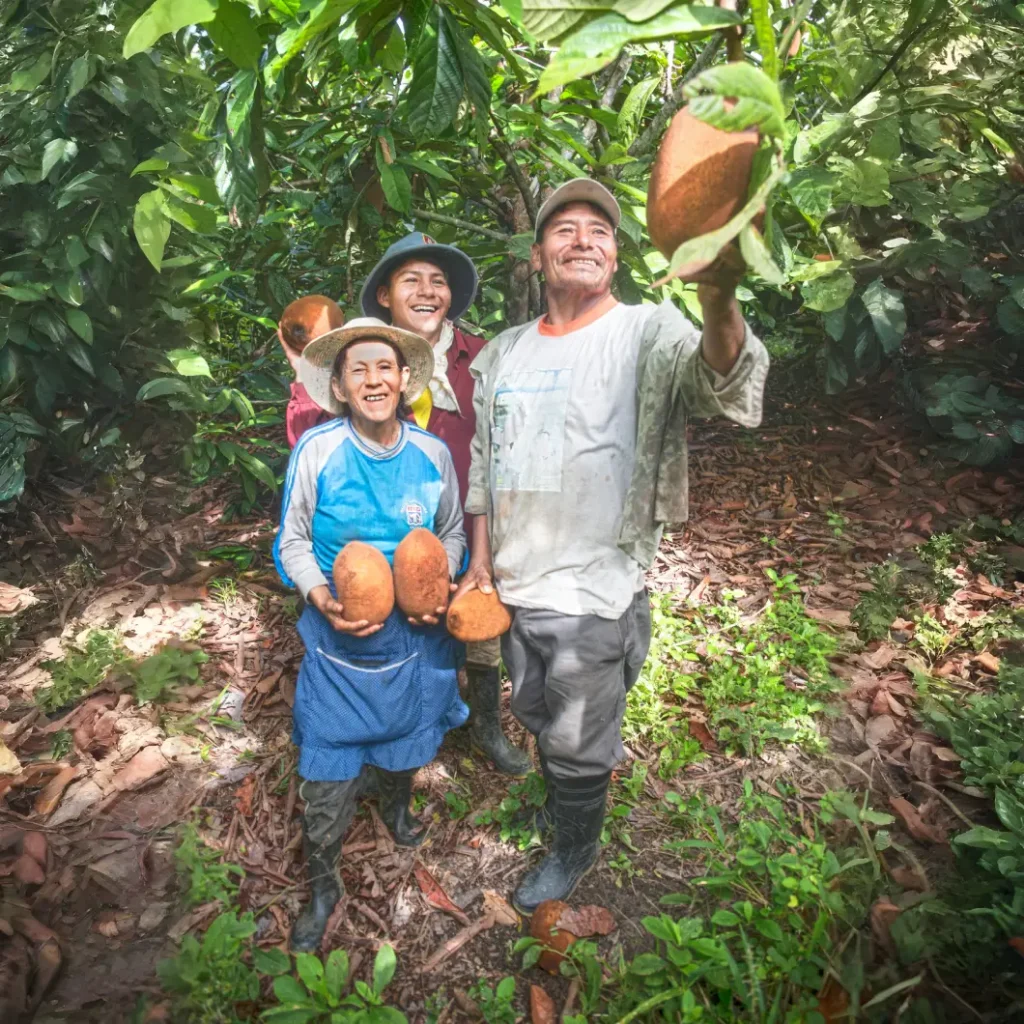 7 linea farmer (1)