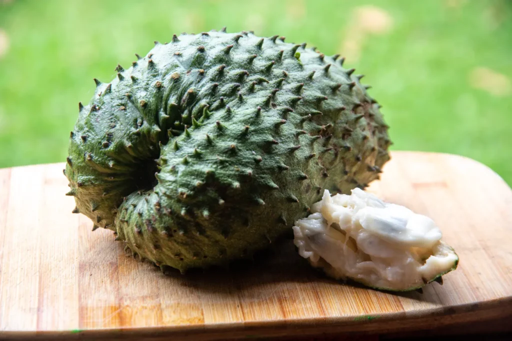 chirimoya