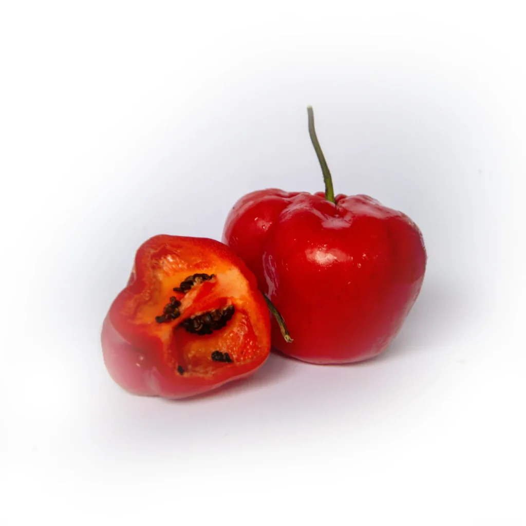 rocoto (1)
