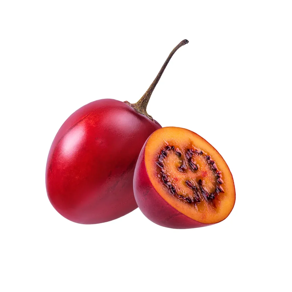 tree tomato