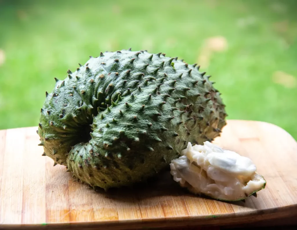 chirimoya fruit from peru